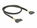 DeLock SAS-Kabel SFF-8639 - SFF-8639 Verlängerung, 1m 100 cm