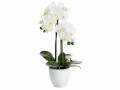 Botanic-Haus Kunstblume Phalenopsis 2 Rispen, 54 cm, mit Topf