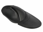 DeLock Ergonomische Maus 12673 Wireless 2,4