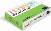 IMAGE COLORACTION Kopierpapier Java A3 285494 120g, maigrün 250 Blatt