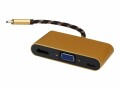 Roline Gold - Videoadapter - USB-C männlich zu HD-15