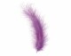 Glorex Federn Marabu Violett