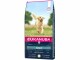 Eukanuba Trockenfutter Adult Lamm & Reis L&XL, 12 kg