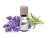Bild 0 Venta Luftwäscher Duftöl Lavendel, 3 x 10 ml, Duft: Lavendel, Set: Nein