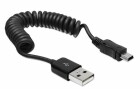 DeLock USB 2.0-Spiralkabel USB A - Mini-USB B