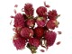Creativ Company Blüten 15 g, Rotes Kleeblatt, Volumen: 15 g
