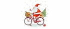 Braun + Company Weihnachtsservietten X-Mas Bike 33 cm x 33 cm