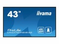 Iiyama 43 3840X2160 UHD IPS PANEL 500CD/M VESA MOUNT (400X400