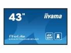 Iiyama 43 3840X2160 UHD IPS PANEL 500CD/M VESA MOUNT (400X400