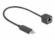 Image 3 DeLock Anschlusskabel USB-A zu RS-232 RJ45, 25 cm