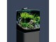 Dennerle Aquarium Nano Cube Basic, 30 l, Produkttyp: Aquarium