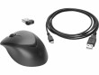 Hewlett-Packard  HP Wireless Premium Mouse