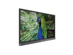 BenQ RP750K - 190.5 cm (75") Diagonalklasse LCD-Display mit