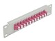 DeLock Verteilerplatte 10? LWL Patchpanel 12 Port LC Duplex