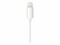 Bild 7 Apple Audio-Kabel Apple Lightning - Klinke 3.5 mm, male