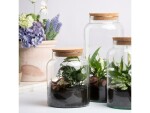 Esschert Design Terrarium-Flasche S, 18.5 x 26.3 cm, Durchmesser: 18.5