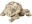 Bild 3 Kare Dekofigur Schildkröte 11 cm, Eigenschaften: Keine