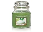 Yankee Candle Duftkerze Vanilla Lime 12 medium Jar, Bewusste