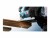 Bild 9 Bosch Professional Stichsägeblatt EXPERT Hardwood Fast T 144 DHM, 3