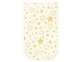 Braun + Company Guetzli-Verpackung Miracle Star 11.5 x 19 cm, 10