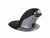 Bild 1 Fellowes Ergonomische Maus Penguin L Wireless, Maus-Typ