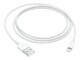 Apple - Câble Lightning - USB (M) pour