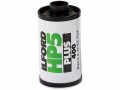 Ilford HP5 Plus - Black & white print film