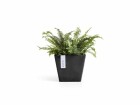 Ecopots Pflanzentopf Rotterdam 30 Dunkelgrau, Volumen: 17 l