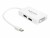 Bild 4 DeLock Adapter Mini-DisplayPort - DVI-D/DisplayPort/HDMI