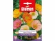 Blumen Saatgut Mohn Victory Mix, Bio: Nein, Blütenfarbe