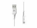 ProXtend - Lightning-Kabel - USB männlich zu Lightning