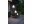 Immagine 9 Star Trading Tischleuchte LED Kreta, 26.5 cm, Grau, Dimmbar: dimmbar