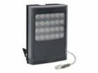 RayTec VARIO 2 IP VAR2-IPPOE-I8-1 - Infrared illuminator