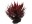 Bild 1 Repti Planet Sukulent Agave Red, 18 cm, Produkttyp Terraristik