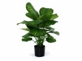 Botanic-Haus Kunstpflanze Calathea, 80 cm, Produkttyp: Topfpflanze
