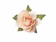 HobbyFun Streudeko Rosen 20 Stück, Aprikose, Motiv: Rose, Material