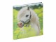 PAGNA Poesiealbum "Kleines Pony", 128
