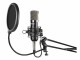 Vonyx Kondensatormikrofon CMS400 Studio-Set, Typ