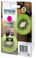 Epson Tintenpatrone 202 magenta T02F340 XP-6000/6005 300