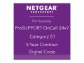 NETGEAR ProSupport OnCall 24x7 Category S1 - Technischer