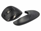 DeLock Ergonomische Maus 12552 Wireless für Linkshänder