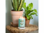 Yankee Candle Signature Duftkerze Aloe & Agave Large Jar, Eigenschaften: Keine