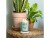 Bild 1 Yankee Candle Signature Duftkerze Aloe & Agave Large Jar, Eigenschaften: Keine