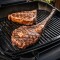 Bild 9 Weber Elektrogrill - Pulse 2000 mit Rollwagen