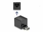 DeLock Netzwerk-Adapter mini USB Typ-C, Schnittstellen: RJ-45