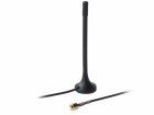 Teltonika LTE-Antenne SMA, 2dBi, 3m