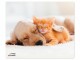 Speedlink Bedruckte Mausmatte Dog and Cat Mehrfarbig, Detailfarbe