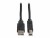 Bild 4 ProLine Roline USB 2.0 Kabel, A-B, black (4.5 m