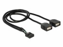 DeLock USB2.0 Pinheaderkabel 2x USB2.0 40 cm, Datenanschluss