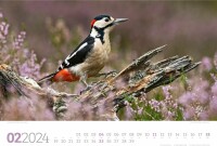 ACKERMANN Unsere Vogelwelt Kalender 2024 2483 DE Multicolor